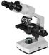 Мікроскоп Bresser Erudit Basic Bino 40x-400x з адаптером для смартфона (5102200) 922746 фото 3