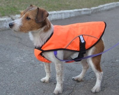 Накидка (попона) для собак маленькая оранжевая 11109845 фото