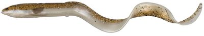 Силікон Savage Gear 3D Real Eel Loose Body 150мм 12.0g #22 Olive Sparkle Pearl (поштучно) 18540326 фото