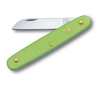 Швейцарський ніж Victorinox Floral садовий 100 мм 1 функція зелений у блістрі (3.9050.47B1) V77553646 фото