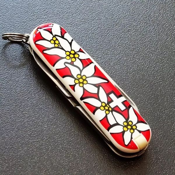 Швейцарский нож-брелок Victorinox Classic SD накладки Edelweiss 0.6223.840 V77554115 фото