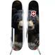 Швейцарський ніж Victorinox Fieldmaster Animal 91 мм 16 функцій Чорний ведмідь (1.4713.3_F1100pw) V77552776 фото 4