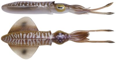 Силікон Savage Gear 3D Swim Squid 95mm 5.0g Cuttlefish (4 шт/уп) 18541265 фото