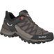 Кроссовки Salewa WS MTN Trainer Lite GTX 013.001.4915 фото 1