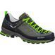 Кроссовки Salewa MS MTN TRAINER 2 L 013.001.4312 фото