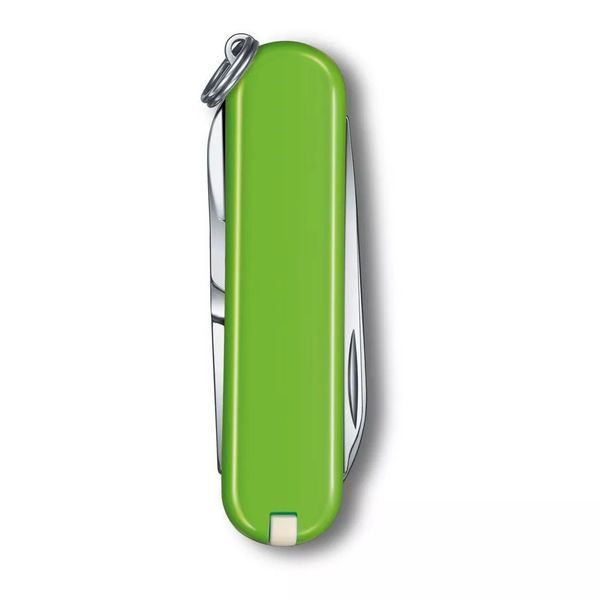 Швейцарський ніж-брелок Victorinox Classic SD Smashed Avocado Салатний 0.6223.43 V77554113 фото