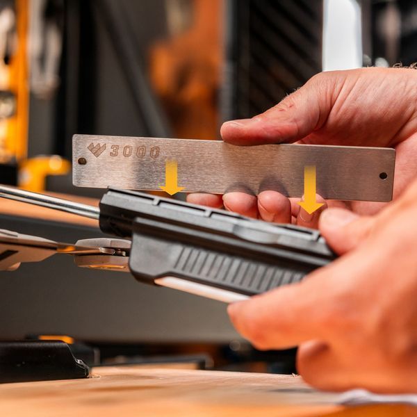 Точильна система Work Sharp Professional Precision Adjust Elite Knife Sharpener WSBCHPAJ-PRO-ELT-I 100000276 фото