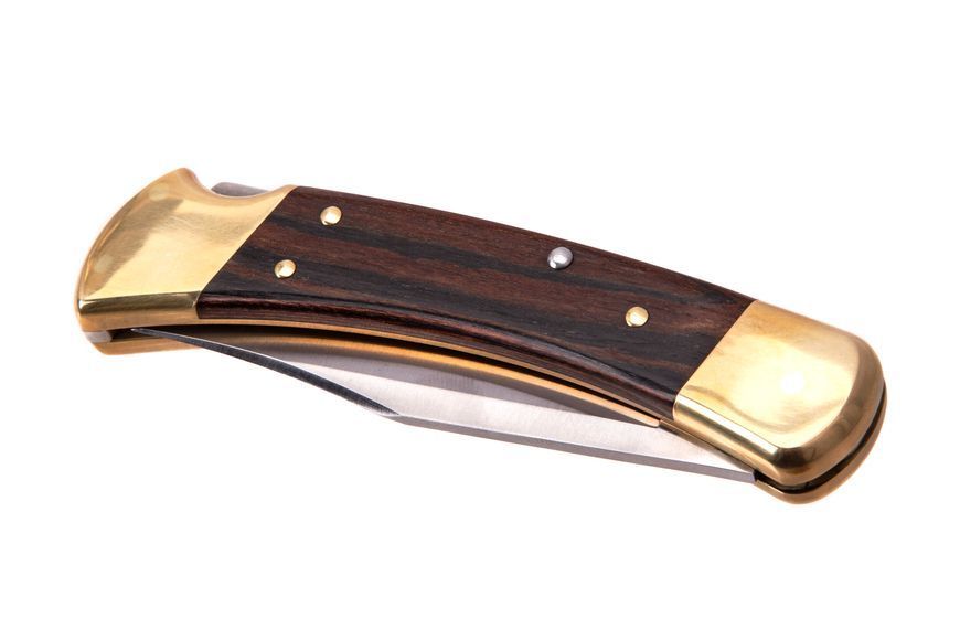 Ніж Buck Folding Hunter 110BRSB 4001964 фото