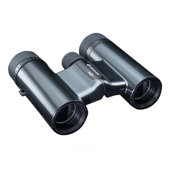 Бинокль Vanguard Vesta Compact 8x21 WP Black Pearl (Vesta 8210 BP) DAS301032 фото