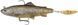 Силікон Savage Gear 4D Trout Spin Shad MS 110mm 40.0g Dark Brown Trout (поштучно) 18541986 фото