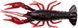 Силікон Savage Gear 4D Craw F 75mm 5.5g Red Craw (6 шт/уп) 18541779 фото
