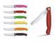 Ніж для пікніка складаний Victorinox Swiss Classic Picnic Чорний6.7803.F V77554426 фото 11