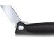 Ніж для пікніка складаний Victorinox Swiss Classic Picnic Чорний6.7803.F V77554426 фото 5