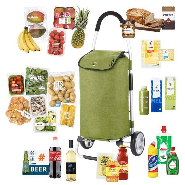 Cумка-візок ShoppingCruiser Foldable 45 Green (650068) 930021 фото