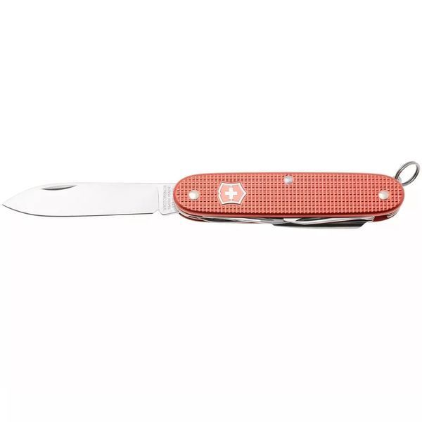 Швейцарский нож Victorinox PIONEER X Stone Red Limited Edition 2025 0.8231.L25 V77554139 фото