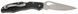 Ніж Spyderco Byrd Cara Cara 2 G-10 BY03GP2 871107 фото 3