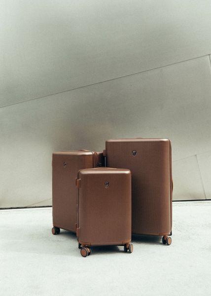 Чемодан Heys Earth Tones (L) Umber (10156-0146-30) 930385 фото