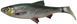 Силикон Savage Gear 3D LB River Roach 180mm 70.0g Green/Silver (поштучно) 18542527 фото