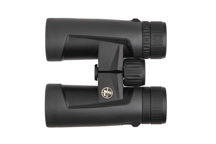 Бинокль Leupold BX-2 Alpine 10x42 Roof темно-серый 176971 5002776 фото