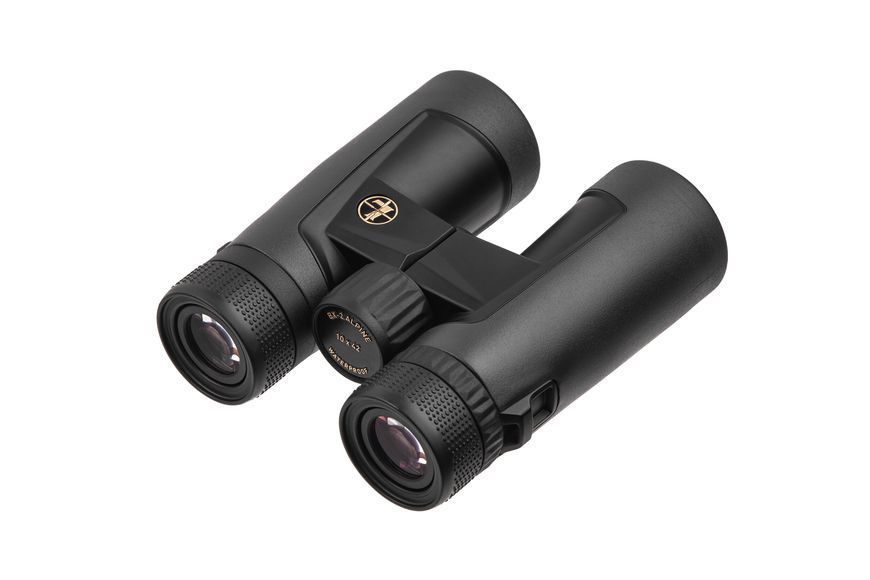Бинокль Leupold BX-2 Alpine 10x42 Roof темно-серый 176971 5002776 фото
