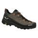 Кросівки Salewa Alp Trainer 2 GTX Mns 013.001.5581 фото 1