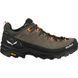 Кросівки Salewa Alp Trainer 2 GTX Mns 013.001.5581 фото 4