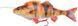 Силікон Savage Gear 4D Line Thru Perch SS 170mm 63g 03-Albino (поштучно) 18540448 фото
