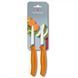 Набор кухонных овощных ножей Victorinox Swiss Classic Paring 8 см 2 шт Оранжевые (6.7606.L119B) V77551910 фото 1