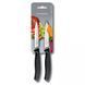 Набор кухонных овощных ножей Victorinox Swiss Classic Paring Set 10 см 2 шт Черные (6.7793.B) V77551913 фото 2