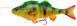 Силікон Savage Gear 4D Line Thru Perch SS 170mm 63g 02-Firetiger (поштучно) 18540447 фото
