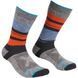 Шкарпетки Ortovox All Mountain Mid Socks Warm Mns 025.001.0125 фото