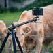 Штатив Vanguard Alta Pro 2+ 263AB 100 (Alta Pro 2+ 263AB 100) DAS302029 фото 26