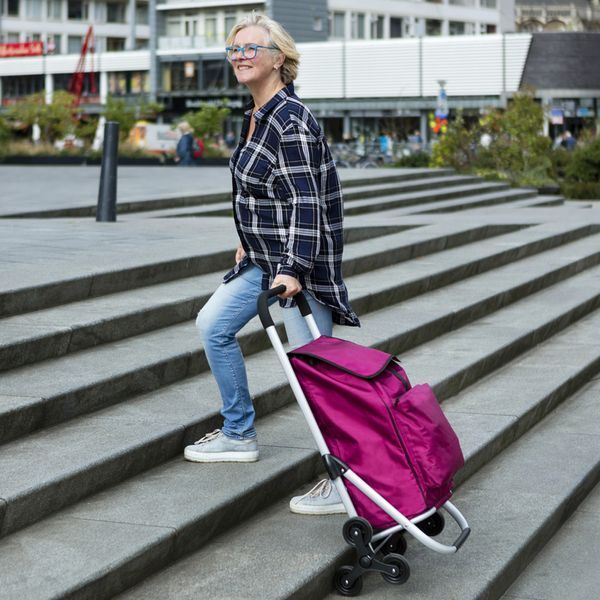 Сумка-тележка ShoppingCruiser Stairs Climber 53 Grey (604361) 927757 фото