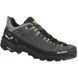 Кросівки Salewa Alp Trainer 2 GTX Mns 013.001.5977 фото