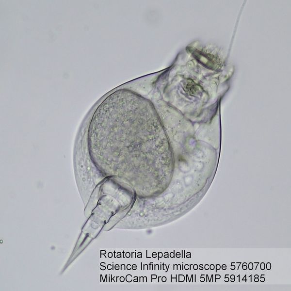 Микроскоп Bresser Science Infinity 30 (5760700) 923425 фото