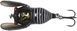 Воблер Savage Gear 3D Cicada F 33mm 3.5g Black 18541162 фото