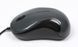 Миша A4Tech N-321 V-Track USB, Optic 2.0, глянцева сіра. N-321-1 (Glossy Grey) 0202329 фото 2