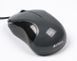 Миша A4Tech N-321 V-Track USB, Optic 2.0, глянцева сіра. N-321-1 (Glossy Grey) 0202329 фото 3