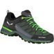 Кроссовки Salewa MS MTN Trainer Lite GTX 013.001.4423 фото 1