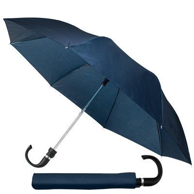 Зонт Semi Line Blue (L2038-1) DAS302211 фото