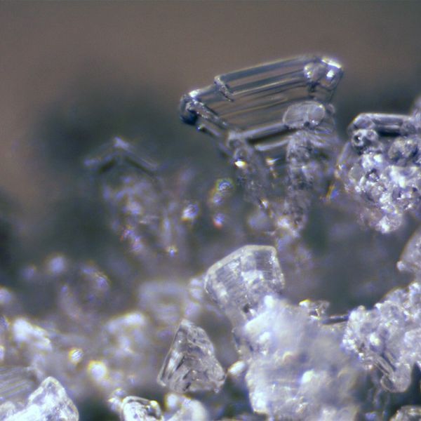 Микроскоп Bresser Erudit ICD Stereo (30.5) (5803600/12331) 922747 фото