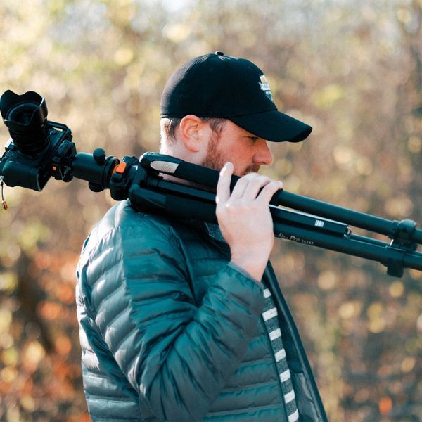 Штатив Vanguard Alta Pro 263AB 100 (Alta Pro 263AB 100) DAS301277 фото