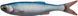 Силікон Savage Gear Craft Dying Minnow 75мм 2.0g Blue Pearl (5 шт/уп) 18541223 фото