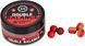 Бойлы Brain Double Balance Cranberry & Squid (клюква + кальмар) 10+8х12mm 18582171 фото