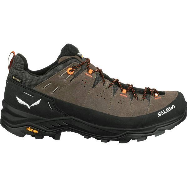 Кроссовки Salewa Alp Trainer 2 GTX Mns 013.001.5981 фото