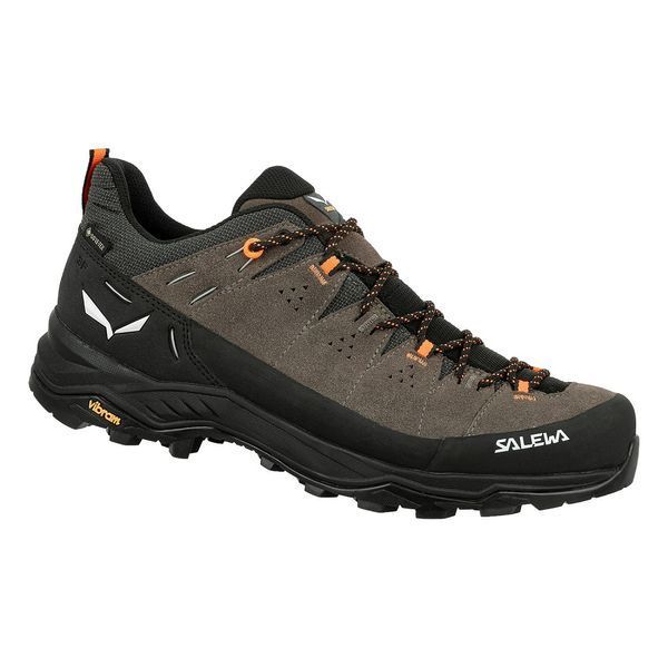 Кроссовки Salewa Alp Trainer 2 GTX Mns 013.001.5981 фото