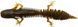 Силікон Savage Gear Ned Salamander 75мм 3.0g Floating Green Pumpkin (5 шт/уп) 18544343 фото