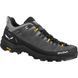 Кроссовки Salewa Alp Trainer 2 GTX Mns 013.001.5981 фото 1