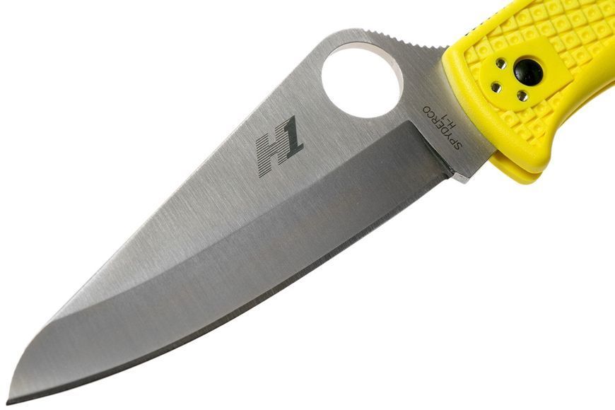 Ніж Spyderco Pacific Salt C91PYL 870629 фото