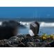 Фонарь налобный Fenix ​​HL17R, Белый HL17Rwhite 100002762 фото 18